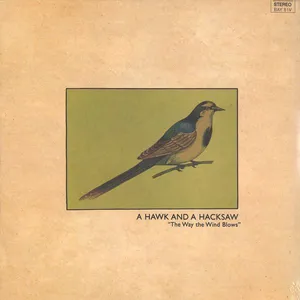 The way the wind blows